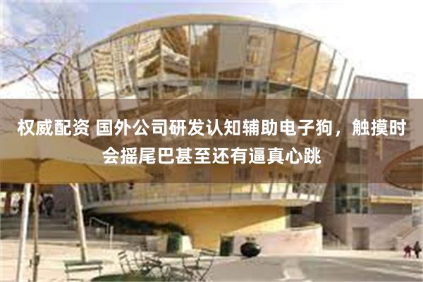 权威配资 国外公司研发认知辅助电子狗，触摸时会摇尾巴甚至还有逼真心跳