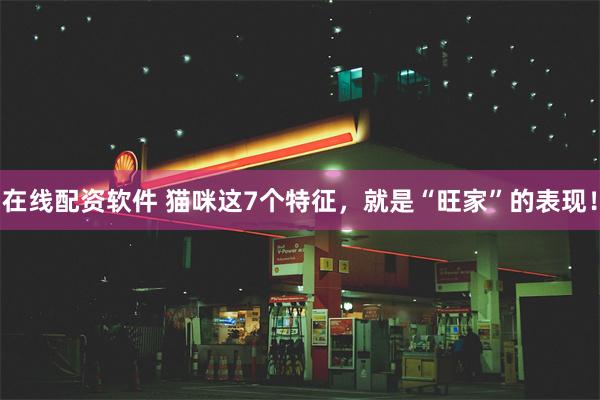 在线配资软件 猫咪这7个特征，就是“旺家”的表现！