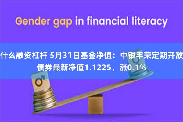 什么融资杠杆 5月31日基金净值：中银丰荣定期开放债券最新净值1.1225，涨0.1%