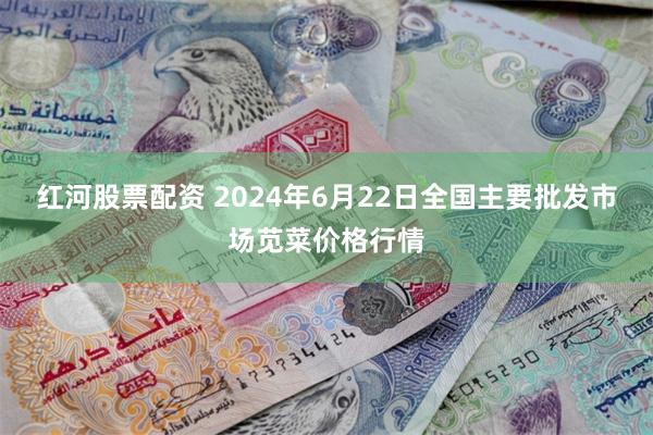 红河股票配资 2024年6月22日全国主要批发市场苋菜价格行情