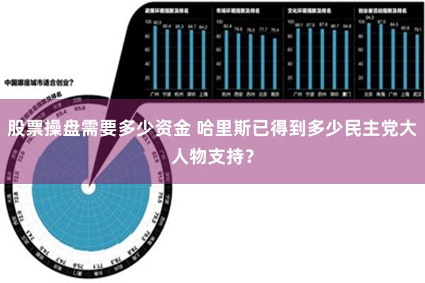 股票操盘需要多少资金 哈里斯已得到多少民主党大人物支持？