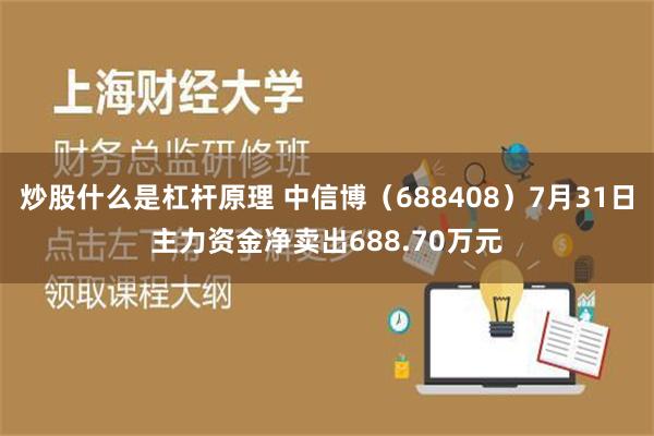 炒股什么是杠杆原理 中信博（688408）7月31日主力资金净卖出688.70万元