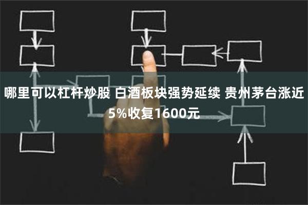 哪里可以杠杆炒股 白酒板块强势延续 贵州茅台涨近5%收复1600元