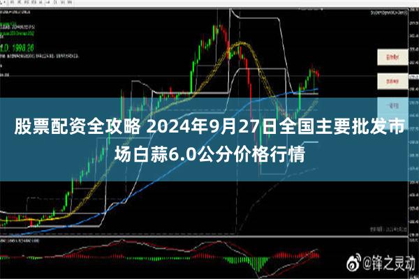 股票配资全攻略 2024年9月27日全国主要批发市场白蒜6.0公分价格行情