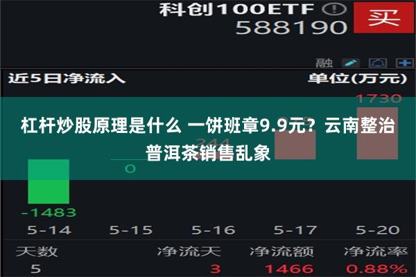 杠杆炒股原理是什么 一饼班章9.9元？云南整治普洱茶销售乱象