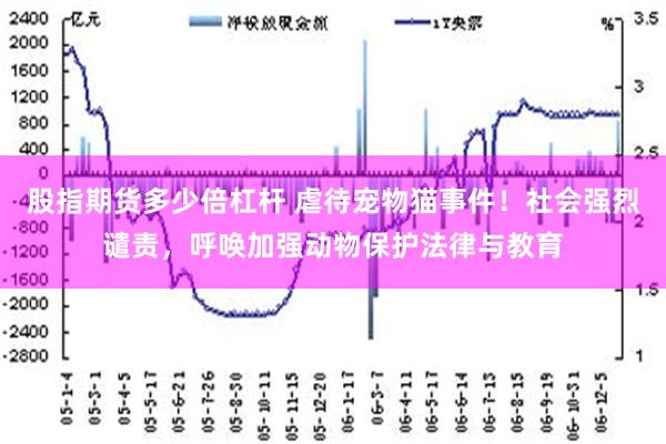 股指期货多少倍杠杆 虐待宠物猫事件！社会强烈谴责，呼唤加强动物保护法律与教育