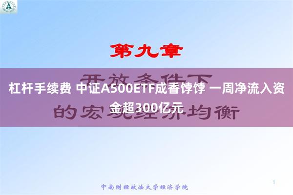 杠杆手续费 中证A500ETF成香饽饽 一周净流入资金超300亿元