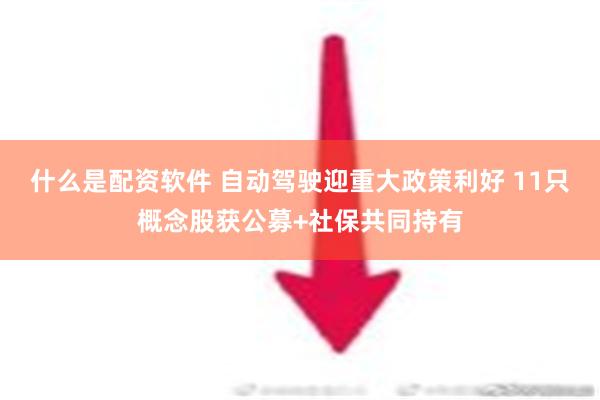 什么是配资软件 自动驾驶迎重大政策利好 11只概念股获公募+社保共同持有