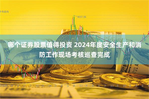 哪个证券股票值得投资 2024年度安全生产和消防工作现场考核巡查完成