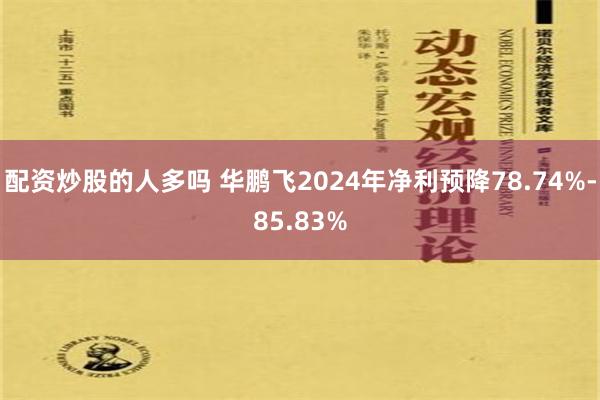 配资炒股的人多吗 华鹏飞2024年净利预降78.74%-85.83%