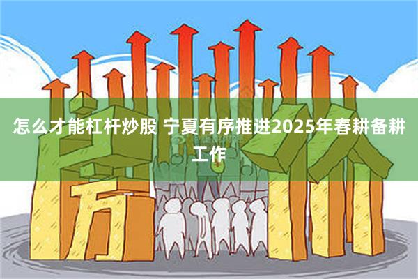 怎么才能杠杆炒股 宁夏有序推进2025年春耕备耕工作